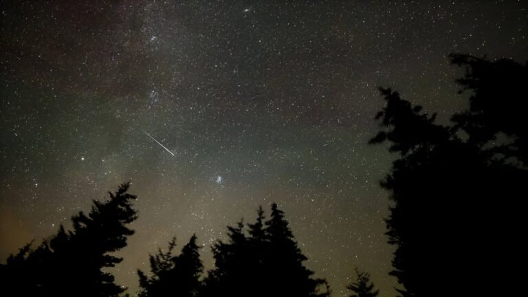 Perseids Meteor Shower Peak Tonight